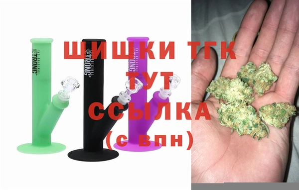 дмт Верея