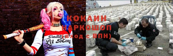 ALPHA PVP Бородино