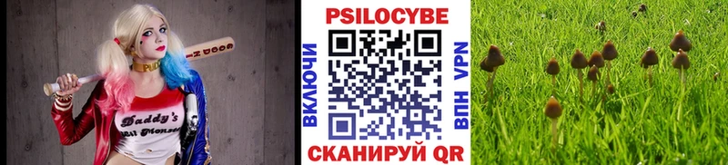 Галлюциногенные грибы мухоморы  как найти   нарко площадка наркотические препараты  Люберцы 